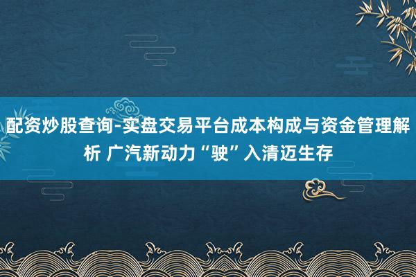 配资炒股查询-实盘交易平台成本构成与资金管理解析 广汽新动力“驶”入清迈生存