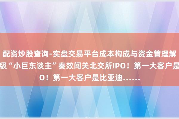 配资炒股查询-实盘交易平台成本构成与资金管理解析 又一国度级“小巨东谈主”奏效闯关北交所IPO!第一大客户是比亚迪……