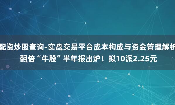 配资炒股查询-实盘交易平台成本构成与资金管理解析 翻倍“牛股”半年报出炉！拟10派2.25元