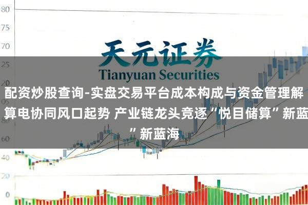 配资炒股查询-实盘交易平台成本构成与资金管理解析 算电协同风口起势 产业链龙头竞逐“悦目储算”新蓝海