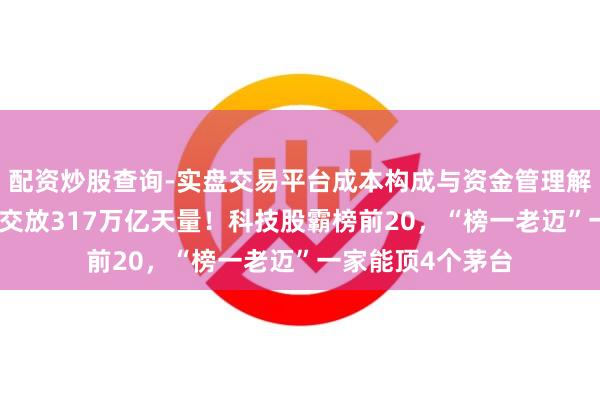 配资炒股查询-实盘交易平台成本构成与资金管理解析 A股上半年景交放317万亿天量!科技股霸榜前20,“榜一老迈”一家能顶4个茅台